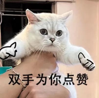 9888拉斯维加斯(股份)有限公司-官方网站